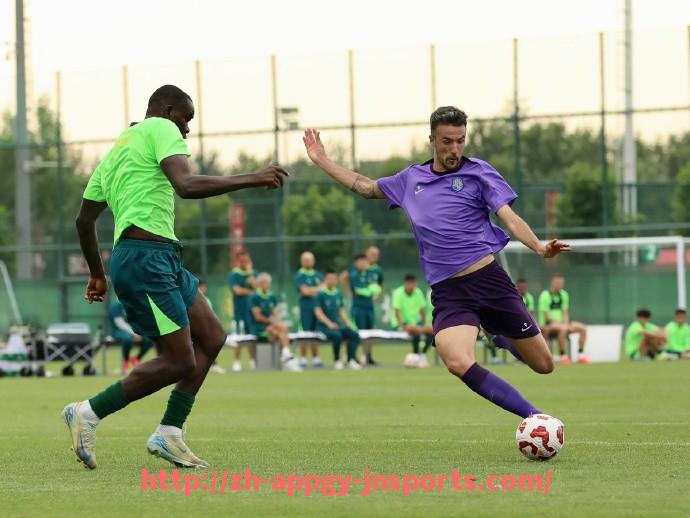 江南体育APP-法甲本土球员实力排行：法国本地新老球员评估